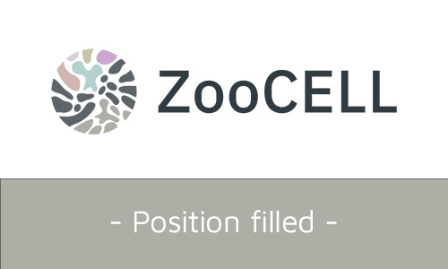 DC12: “Evolution of sensory systems for polychaete larval behaviour and development”