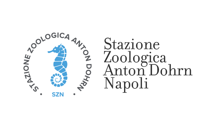 🇮🇹 Meet our partner, Stazione Zoologica Anton Dohrn (SZN)